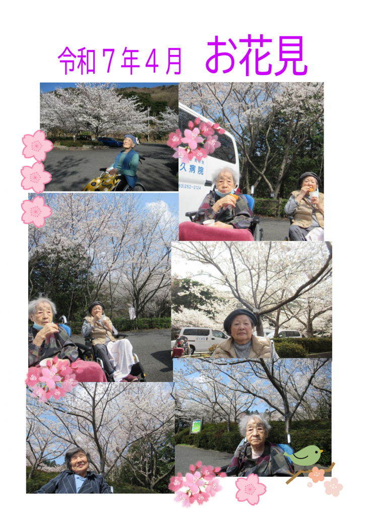 令和7年4月お花見1