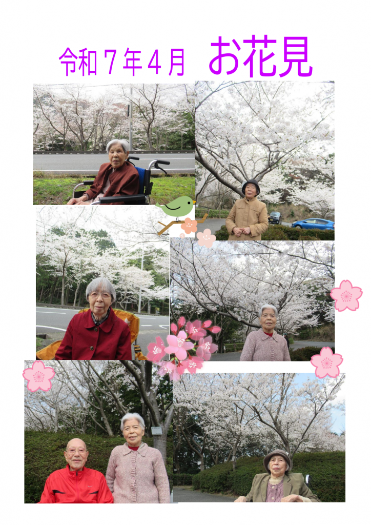 令和7年4月お花見2